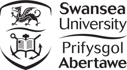 Swansea University