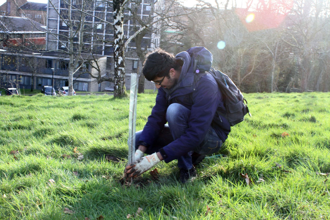 TreeSoc member planting a tree